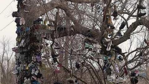 Photo from April '18