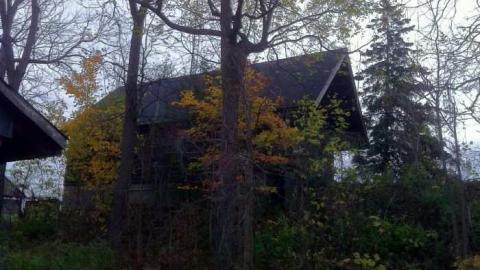 More Resort - Swiss-Chalet-Park23.jpg