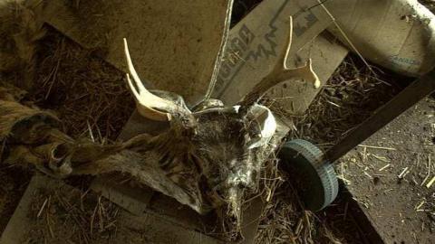 October 13 2018, Barn & Car - Donald-Schenk-farm91.jpg