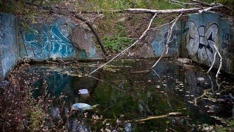 October 2018 - Abandoned-Pool68.jpg