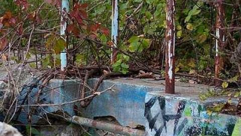 October 2018 - Abandoned-Pool70.jpg