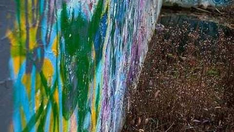 October 2018 - Abandoned-Pool75.jpg