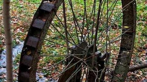 October 2018 - Abandoned-Water-Wheel31.jpg