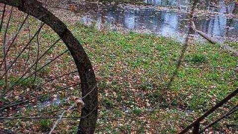 October 2018 - Abandoned-Water-Wheel38.jpg