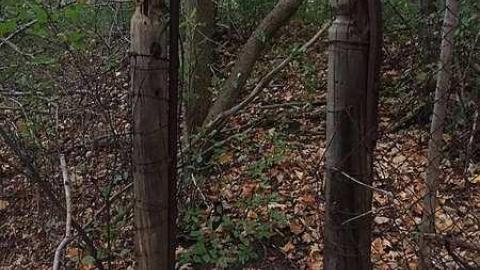 October 2018 - Abandoned-Water-Wheel39.jpg