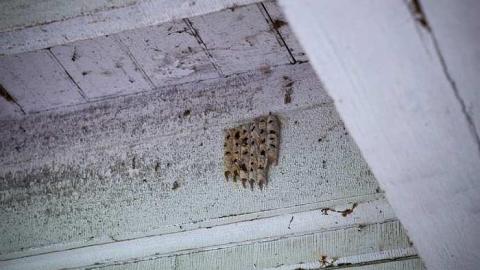 May 2018 Visit - Across-The-River182.jpg