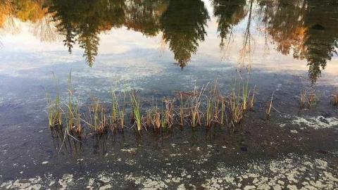 October 2018 - Abandoned-Wading-Pool28.jpg