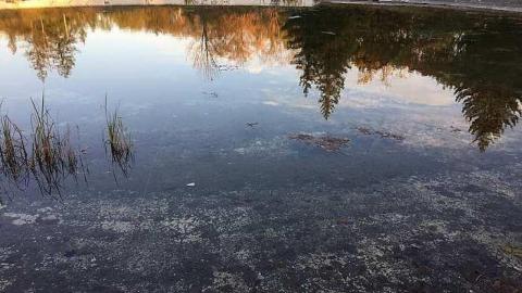 October 2018 - Abandoned-Wading-Pool36.jpg