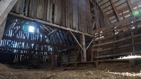 Cattle Farm - Cattle-Farm1.jpg