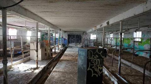 Cattle Farm - Cattle-Farm9.jpg