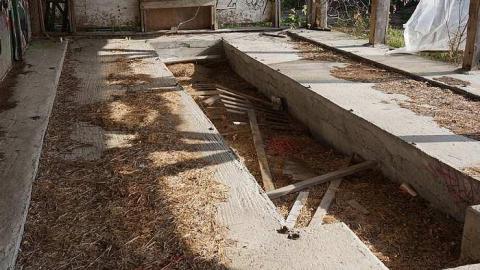 Cattle Farm - Cattle-Farm11.jpg