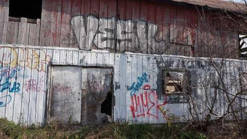 Cattle Farm - Cattle-Farm5.jpg