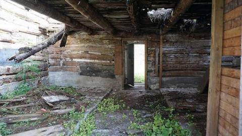 Cattle Farm - Cattle-Farm13.jpg