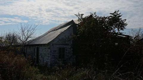 Cattle Farm - Cattle-Farm6.jpg