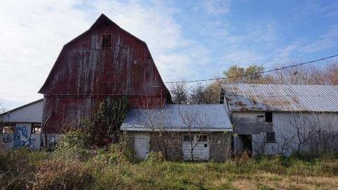 Cattle Farm - Cattle-Farm14.jpg