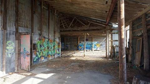 Cattle Farm - Cattle-Farm15.jpg