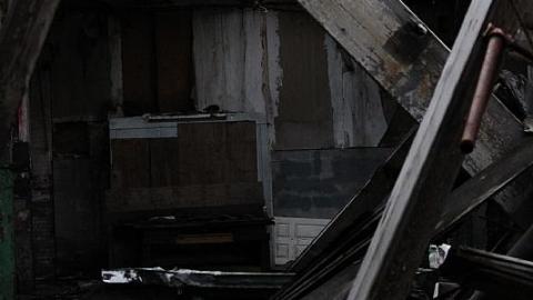 Oct 20, 2018 - S-and-L-Plant42.jpeg