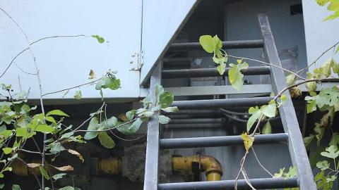 Oct 20, 2018 - S-and-L-Plant43.jpeg