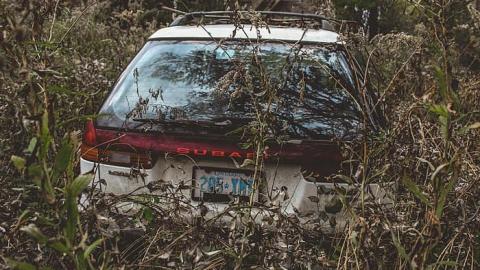 Hidden Gem - Clarington-Jackpot190.jpg