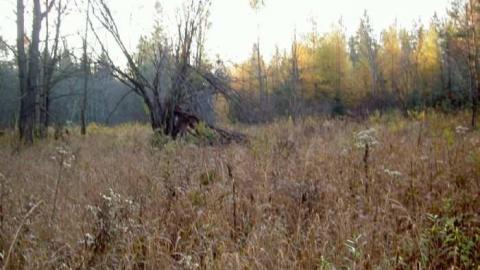 Monsell axe location - Monsell-(Orma-Jones-Tragedy)70.jpg