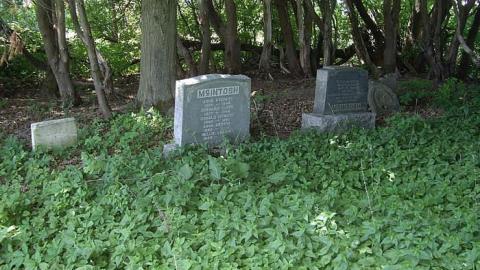 Photo from McIntosh Cemetery