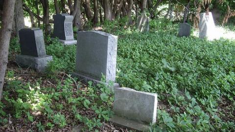 Photo from McIntosh Cemetery