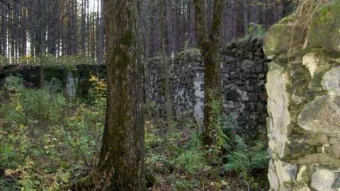 Monsell axe location - Monsell-(Orma-Jones-Tragedy)66.jpg