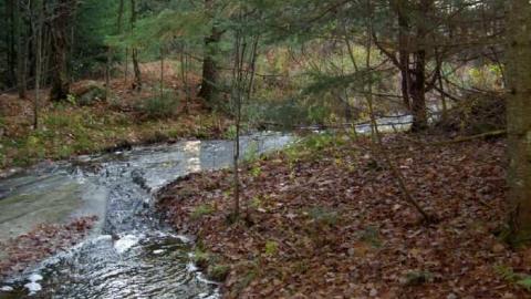 Monsell axe location - Monsell-(Orma-Jones-Tragedy)68.jpg