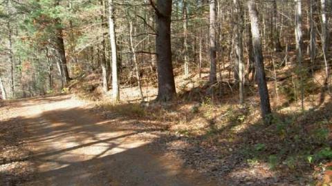 Monsell axe location - Monsell-(Orma-Jones-Tragedy)54.jpg