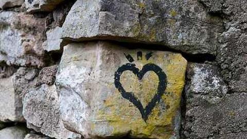 Photo from November 2018