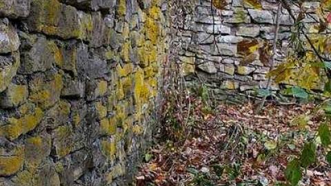 Photo from November 2018