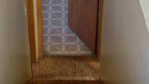 If You Were... '18 - DSC05033.jpg