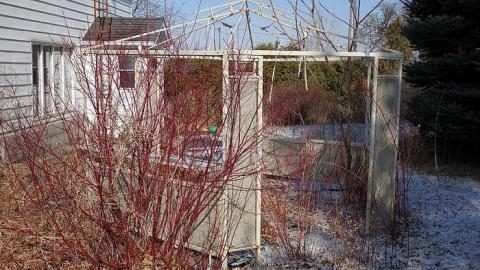 If You Were... '18 - DSC05106.jpg