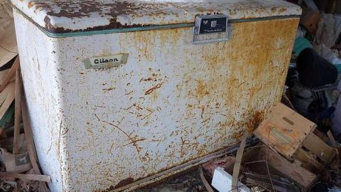 If You Were... '18 - DSC05155.jpg