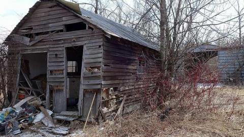 If You Were... '18 - DSC05173.jpg