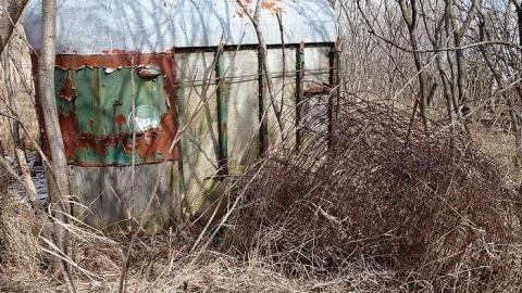 If You Were... '18 - DSC05175.jpg