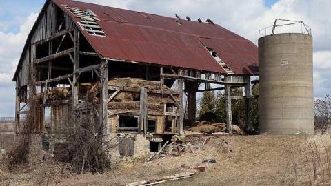 If You Were... '18 - DSC05179.jpg