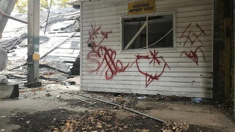 Sunday Funday - S-and-L-Plant5.jpeg