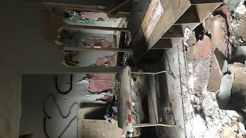 Sunday Funday - S-and-L-Plant9.jpeg