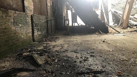 Sunday Funday - S-and-L-Plant6.jpeg