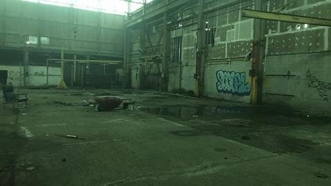 Sunday Funday - S-and-L-Plant10.jpeg