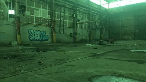 Sunday Funday - S-and-L-Plant7.jpeg