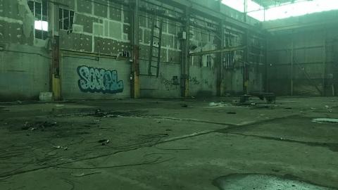 Sunday Funday - S-and-L-Plant11.jpeg