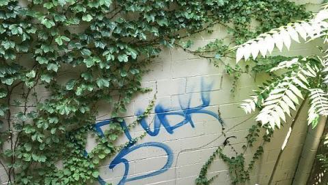 Photo from Interesting day