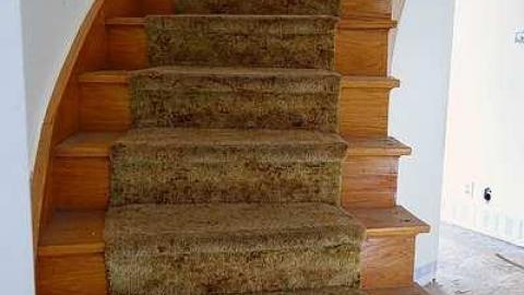 Michael & Charles '18 - DSC05420.jpg