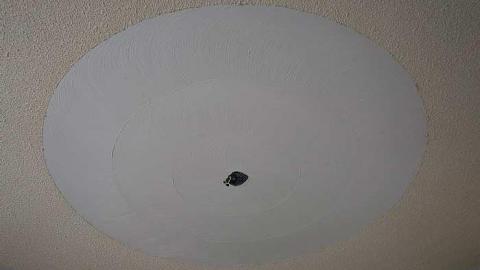 Michael & Charles '18 - DSC05450.jpg