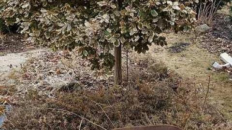 Michael & Charles '18 - DSC05460.jpg