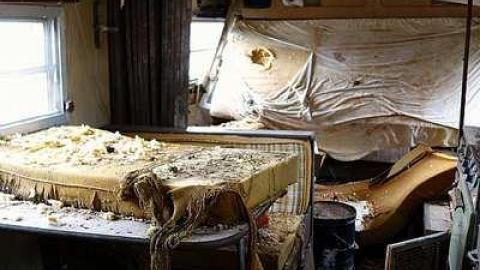 Torn '18 - DSC05568.jpg