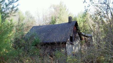 Photo from Ruttan Rd. 