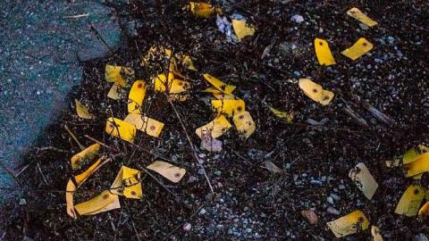 Stinky old Abatoir - _DSF1633.jpg